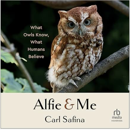 BCAS Book Club